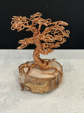 Load image into Gallery viewer, Bonsai Twist &#39;n Sip