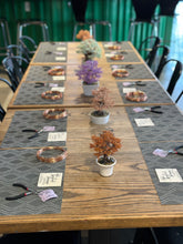 Load image into Gallery viewer, Bonsai Twist &#39;n Sip